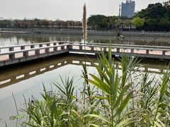 -顺峰山公园