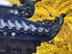 -磁器口古镇