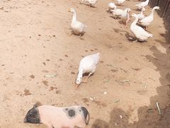 -太原动物园