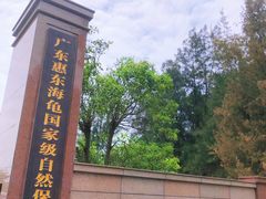 -广东惠东海龟国家级自然保护区