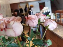 -不正咖啡(万达尊店)