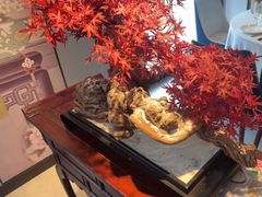 -顺峰(农展馆店)
