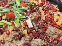 -老板恋上鱼(恒隆广场店)