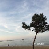 离海最近的大学