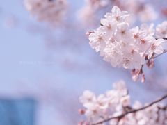 -龙美术馆(西岸馆)