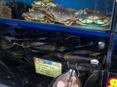-蚝专家(北滘店)