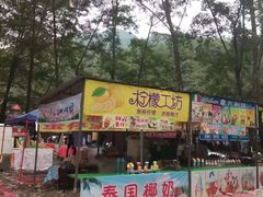 -养马峡
