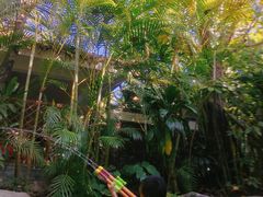 -碧桂园润杨溪谷温泉酒店