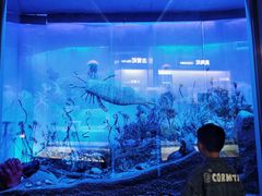 -大庆石油科技馆