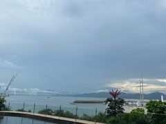 -希尔顿南海酒店·观廊大堂吧·海景下午茶