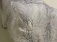 -蟹都汇(龙舟店)