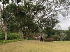 -中国科学院西双版纳热带植物园