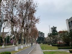 -四川大学(望江校区)