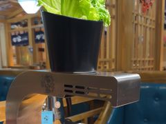 -九田家黑牛烤肉料理(华侨城店)