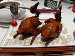 -大鸽饭(动物园店)