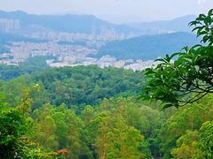 -火炉山森林公园