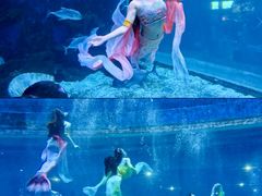 -华夏文旅海洋公园