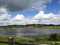 -御道口草原森林风景区