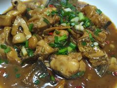 -全乐鱼馆·淳牌有机鱼直营店
