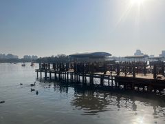 -天津水上公园