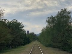 -永定河休闲森林公园