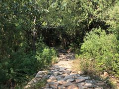 -鬼笑石后山停车场