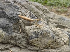 -香山公园