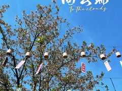 -顾村公园