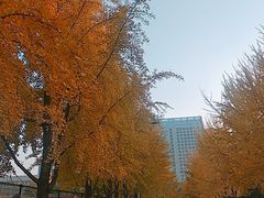 -辽宁大学(崇山校区)