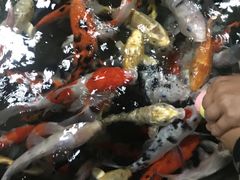 -福州罗源湾海洋世界旅游区