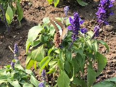 -上海市龙华烈士陵园