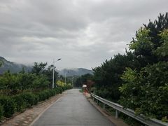 -梨木台悦来客农家院