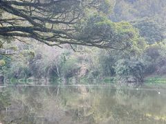 -云水谣景区