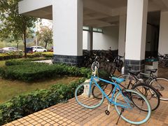 -顺德职业技术大学
