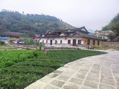 -福建土楼（华安）旅游区•大地土楼群
