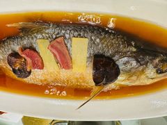 火焖鲥鱼-顺风酒店(长寿路店)