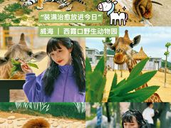 -海驴岛(荣成市)