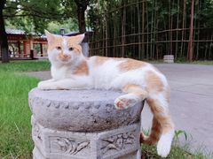 -西安博物院