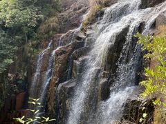 -汇雅温泉