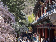 -潭柘寺景区