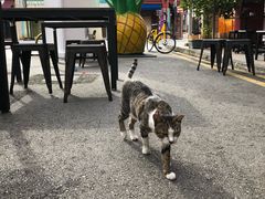 -牛车水美食街