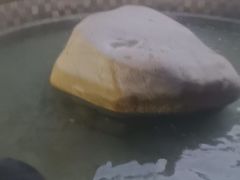 -碧水湾温泉