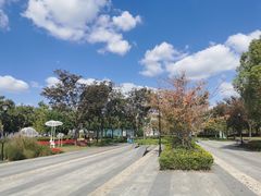 -上海山野camping·户外天幕烧烤·团建拓展营地