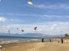 -月亮湾湿地公园