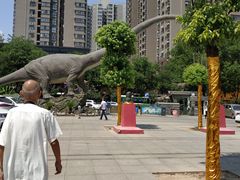 -陕西自然博物馆