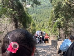 -白佛山景区