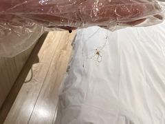 -鸡脚旮旯平江路店