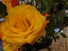 -sweet color隐形眼镜专营(万象城店)