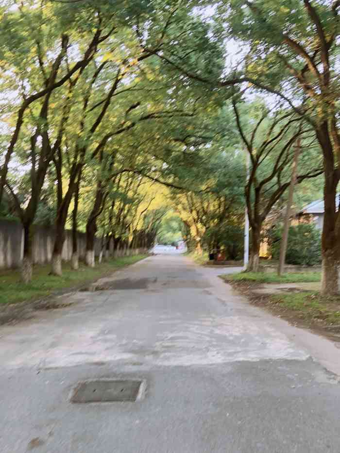 南昌航空大学科技学院游泳馆"南昌航空大学游泳馆,老校区在上海路