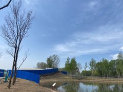 -东郊湿地公园